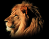 une  pensee pour  africa